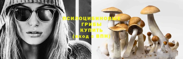 mdpv Алексеевка